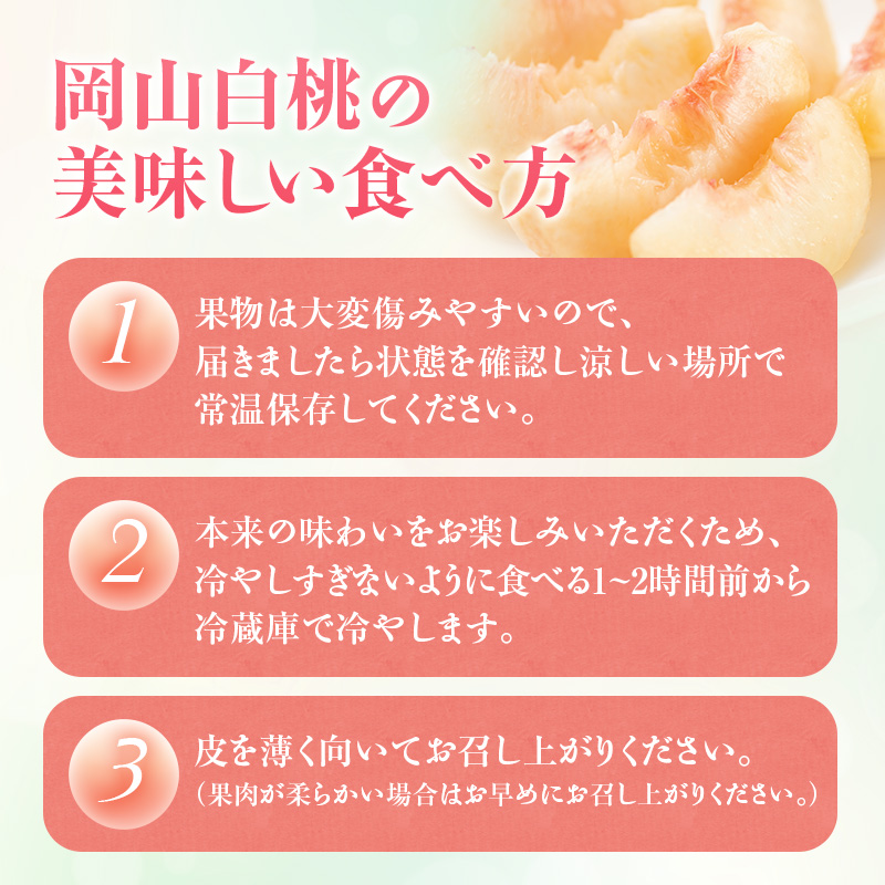 【2026年先行受付】 白桃 ニューピオーネ 約1.2kg セット 桃 2玉 ぶどう 1房 岡山県産  御中元 ギフト 御礼 プレゼント 御礼 御祝 御供 果物 くだもの フルーツ もも モモ 葡萄 ブドウ