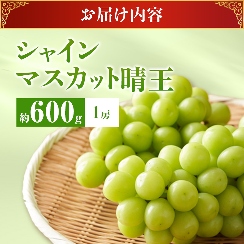 【2026年先行受付】 シャインマスカット 晴王 秀品 約600g 1房 岡山県産 ぶどう 葡萄 ブドウ 御中元 ギフト 御礼 プレゼント 御礼 御祝 御供 果物 くだもの フルーツ