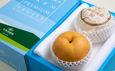 梨 2025年 先行予約 備前横綱梨（あたご梨） 2玉 (1玉1～1.4kg）贈答箱【11月下旬～12月中旬頃発送】 ナシ なし 岡山県産 国産 フルーツ 果物 ギフト 石原果樹園
