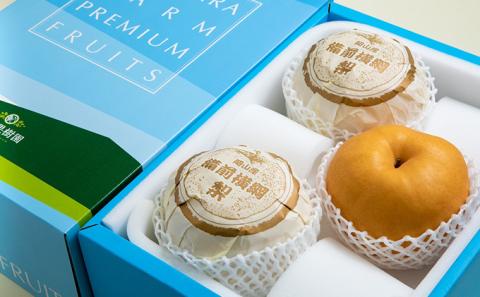 梨 2025年 先行予約 備前横綱梨（あたご梨）3玉（1玉1～1.4kg）贈答箱【11月下旬～12月中旬頃発送】 ナシ なし 岡山県産 国産 フルーツ 果物 ギフト 石原果樹園