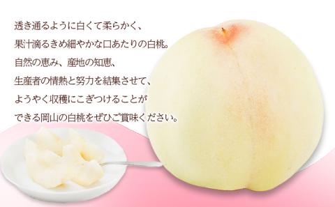 桃 2026年 先行予約 白桃 6玉（1玉300g以上）化粧箱入り もも モモ 岡山県産 国産 フルーツ 果物 ギフト 透き通る 白い 柔らかい 果汁 きめ細やか 恵み 知恵 情熱 贈り物