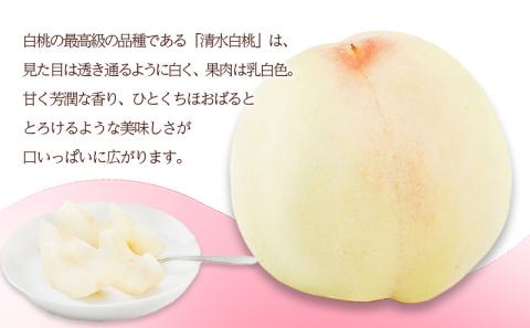 桃 2026年 先行予約 清水 白桃 6玉 （1玉250g以上）化粧箱入り もも モモ 岡山県産 国産 フルーツ 果物 ギフト 最高級 贈答品 贈り物