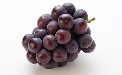 ぶどう 2026年 先行予約 ニュー ピオーネ 4房（1房480g以上） ブドウ 葡萄  岡山県産 国産 フルーツ 果物 ギフト ニューピオーネ