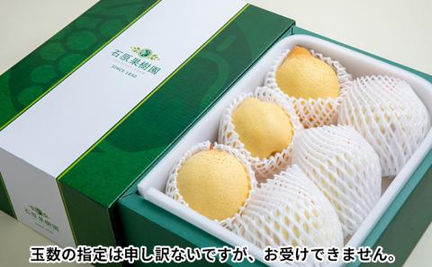 梨 2025年 先行予約 鴨梨（ヤーリー）5～10玉 合計約3kg 贈答箱【11月下旬～12月中旬頃発送】 ナシ なし 岡山県産 国産 フルーツ 果物 ギフト 石原果樹園
