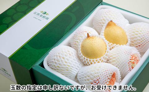 梨 2025年 先行予約 鴨梨（ヤーリー）6～10玉 約4kg 贈答箱【11月下旬～12月中旬頃発送】 ナシ なし 岡山県産 国産 フルーツ 果物 ギフト 石原果樹園