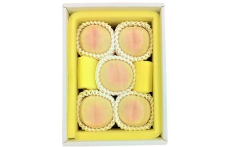 桃 2026年 先行予約 清水白桃 5玉 合計約1.3kg もも モモ 岡山県産 国産 フルーツ 果物 ギフト