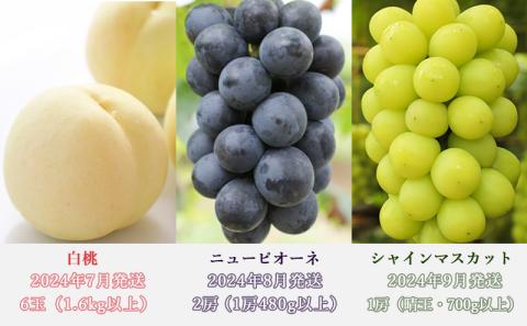 桃 ぶどう 定期便 2026年 先行予約 晴れの国 岡山 の フルーツ 定期便 3回コース もも モモ 葡萄 ブドウ 岡山県産 国産 セット ギフト 化粧箱入り 白桃 ニューピオーネ シャインマスカット 晴王