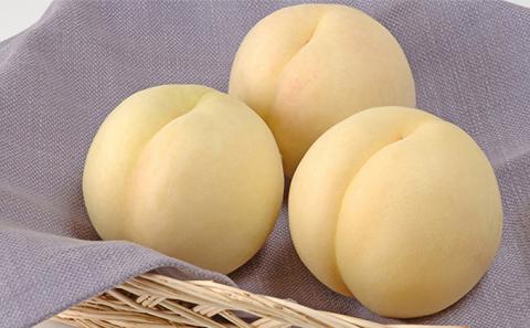 桃 2026年 先行予約 岡山の 白桃 大玉3玉（晩生種）（1玉約300g） もも モモ 岡山県産 国産 フルーツ 果物 ギフト