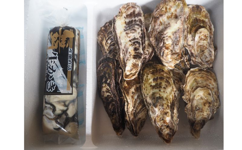 牡蠣 2026年 先行予約 牡蠣むき身 500gと 殻付牡蠣 10個 セット 山銀商店 瀬戸内海虫明湾産 魚介類 カキ かき シーフード