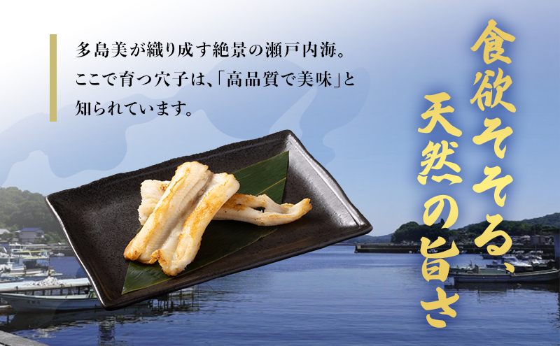 あなご 先行予約 山銀商店 白焼き あなご (合計約300g) 産地直送 穴子 魚介類