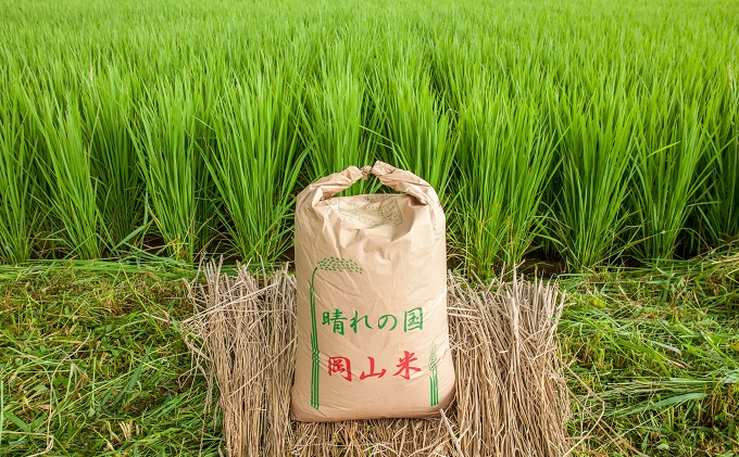 米 令和7年産 「 ヒノヒカリ 」 玄米 30kg（精米用） 岡山県瀬戸内市産 お米