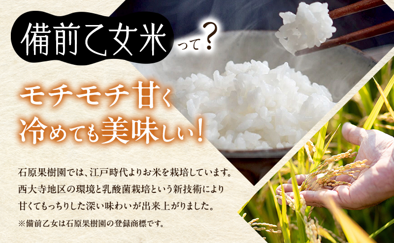 米 令和7年産 石原果樹園の備前乙女米 白米 5kg×1袋 ※11月上旬～順次発送予定 お米 精米 白米 ライス 乳酸菌栽培 岡山県 おにぎり お弁当