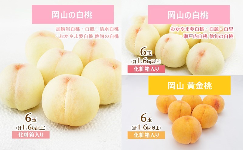 桃 定期便 2026年 先行予約 岡山 の 桃 食べ比べ 3回コース もも モモ 岡山県産 国産 フルーツ 果物 ギフト