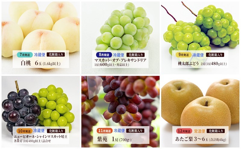 フルーツ 定期便 2025年 先行予約  晴れの国 岡山 の 旬の フルーツ 定期便 6回コース 白桃 ぶどう 梨 岡山県産 国産 フルーツ 果物 ギフト