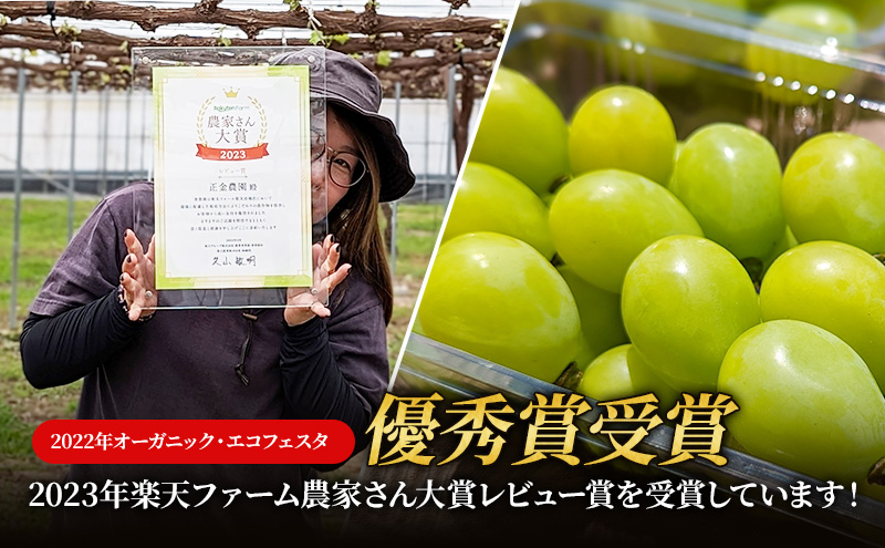 シャインマスカット 粒タイプ 1080g(270g×4パック) ブドウ 葡萄 岡山県 国産 フルーツ 果物 ギフト 正金農園より 直送 栽培期間中 農薬節減