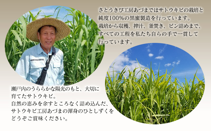 竹糖(145ml)2本セット  竹糖 セット 調味料 甘味料 さとうきび サトウキビ 岡山 瀬戸内市