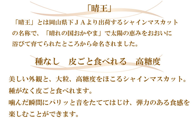 ぶどう 2026年 先行予約 ご家庭用 シャイン マスカット 晴王 約400g×2房 ブドウ 葡萄  岡山県産 国産 フルーツ 果物 岡山のぶどう 旬のフルーツ 旬の果物 大粒 種無し