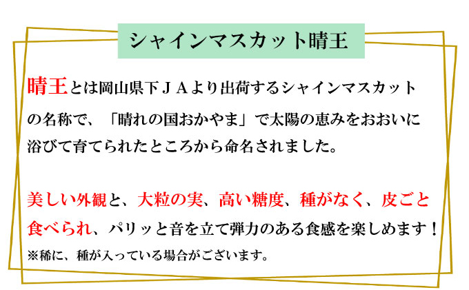 ぶどう 2026年 先行予約 シャイン マスカット 晴王 600g以上×1房 種無し ブドウ 葡萄 岡山県産 国産 フルーツ 果物 ギフト デザート 果実 美しい 大粒 高糖度 皮ごと パリッ 弾力 食感 食べやすい 人気