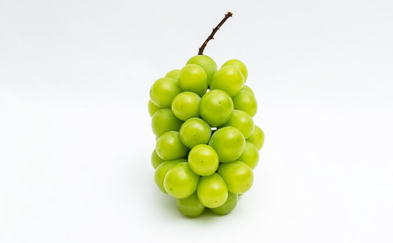 フルーツ 2024年 先行予約 果物 詰合せ 岡山 白桃2玉(1玉220g以上)・ニュー ピオーネ 1房 480g以上・ シャイン マスカット 晴王 1房 480g以上 化粧箱入り 桃 葡萄 岡山県産