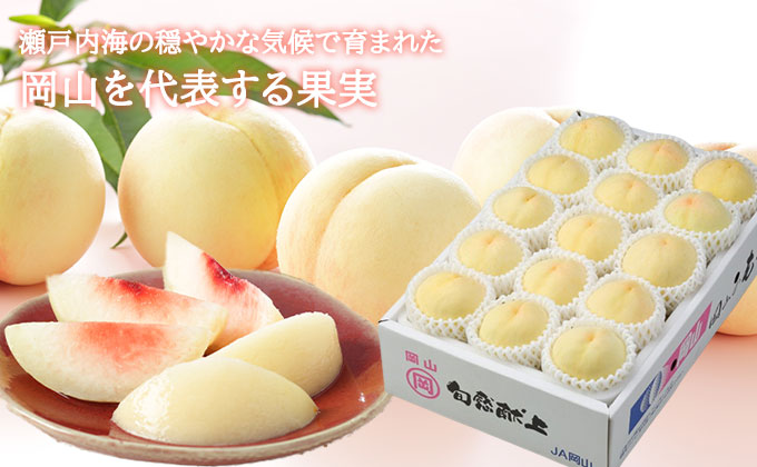 桃 2026年 先行予約 岡山 白桃 ロイヤル 8～16玉 4.0kg 岡山県産 JAおかやまのもも モモ 岡山県産 国産 フルーツ 果物 ギフト