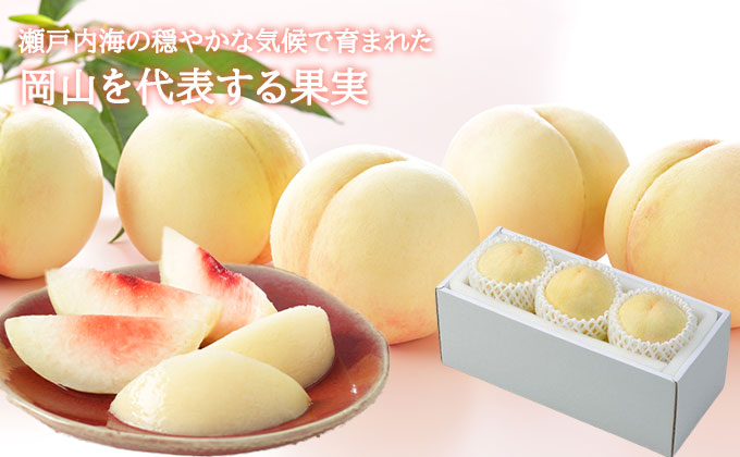 桃 2026年 先行予約 岡山 白桃 エース 3玉×200g（Lサイズ） 岡山県産 JAおかやまのもも モモ 岡山県産 国産 フルーツ 果物 ギフト