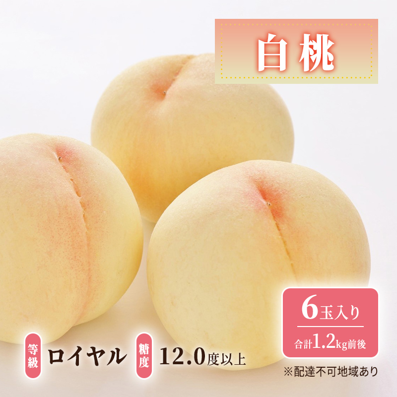 先行予約 晴れの国 岡山のフルーツ 定期便 2回コース 1回目ロイヤル白桃6玉 合計約1.2kg／2回目冬桃がたり6個 合計約1.2kg