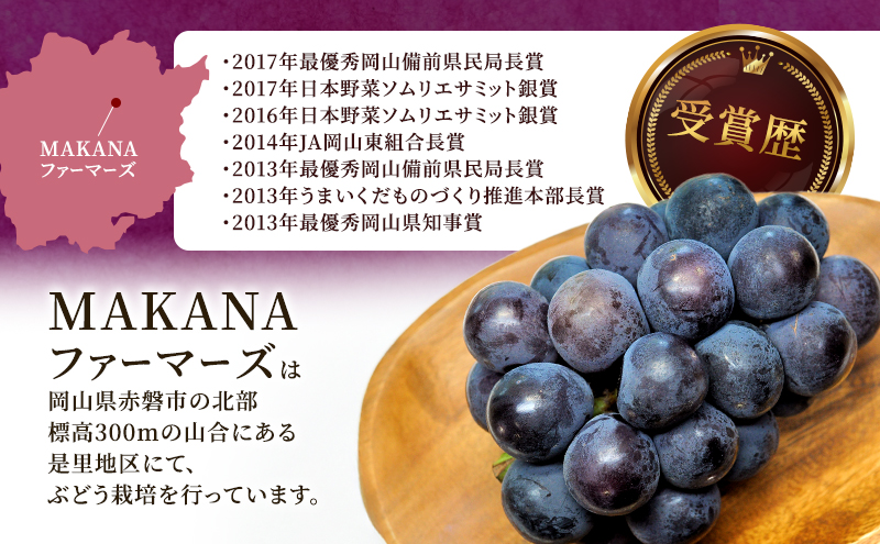 ぶどう 2026年 先行予約 オーロラ ブラック 1房 600g～700g 大粒 種無し ブドウ 葡萄 岡山県産 国産 フルーツ 果物 ギフト MAKANAファーマーズ 甘みが強い 香り高い デザート