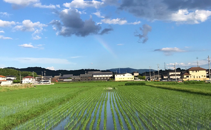 瀬戸内自然栽培米［ひのひかり」玄米 10kg（5kg×2袋）: 瀬戸内市ANAのふるさと納税