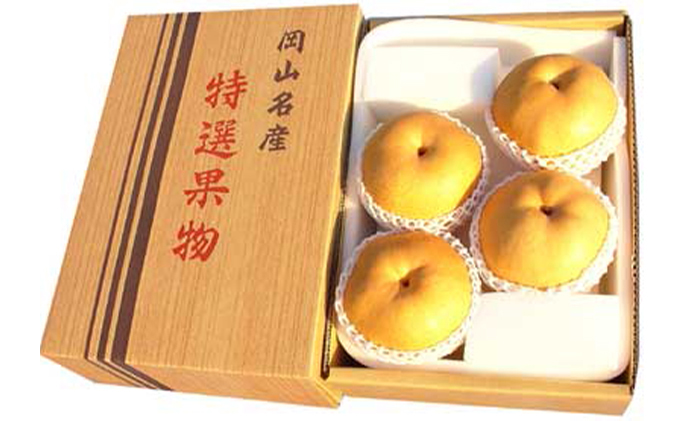 梨 2025年 先行予約 あたご梨 4～9玉 合計約4.5kg 贈答箱【11月下旬～12月中旬頃発送】 ナシ なし 岡山県産 国産 フルーツ 果物 ギフト 石原果樹園