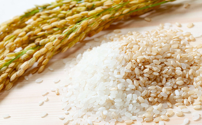 米 令和7年産 石原果樹園の備前乙女米 玄米 30kg×1袋 ※11月上旬～順次発送予定 お米 ライス 乳酸菌栽培 岡山県 おにぎり お弁当