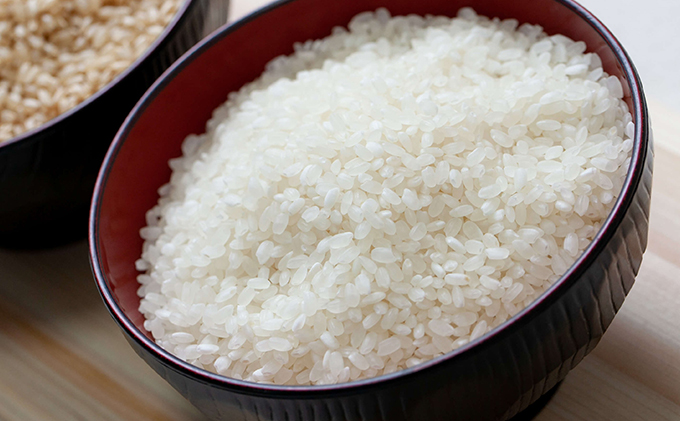 米 令和7年産 石原果樹園の備前乙女米 白米 30kg×1袋 ※11月上旬～順次発送予定 お米 精米 白米 ライス 乳酸菌栽培 岡山県 おにぎり お弁当