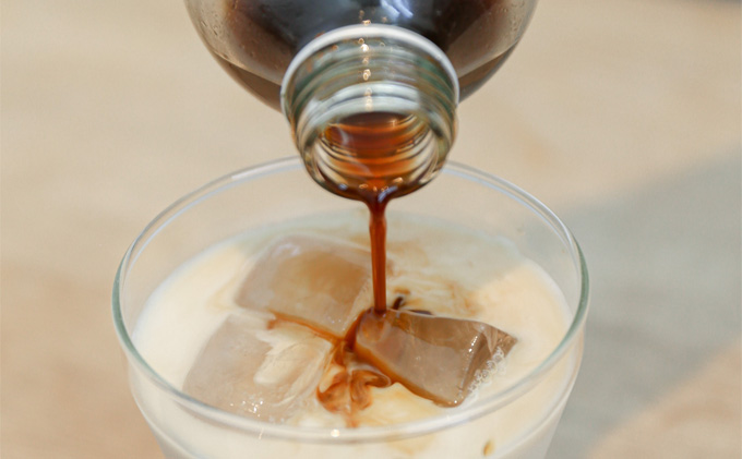 コーヒーシロップ 1本 250ml キノシタショウテン