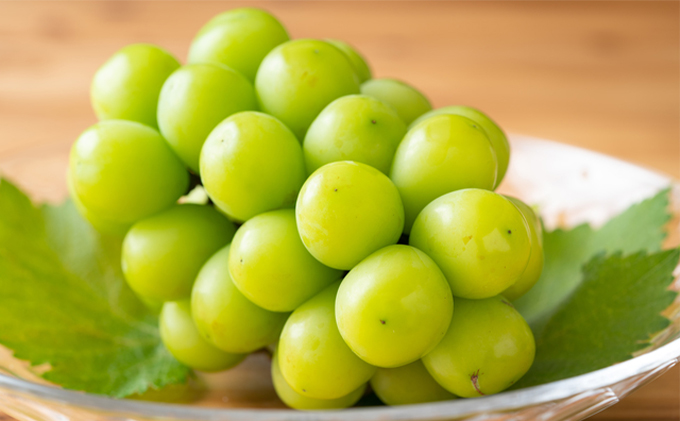 ぶどう 2024年 先行予約 シャイン マスカット 晴王 2房 （1房 600g以上） 化粧箱入り ブドウ 葡萄  岡山県産 国産 フルーツ 果物 ギフト