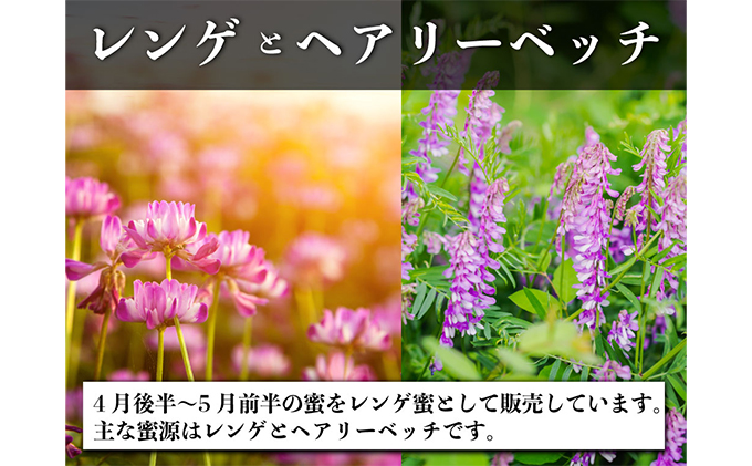 レンゲ 非加熱 はちみつ 2本セット（1本180g）岡山県 瀬戸内市産 石黒農園