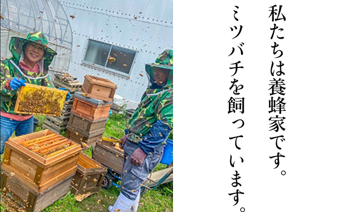 瀬戸内市のおいしい お米 「ひのひかり」 10kg（5kg×2袋）岡山県 瀬戸内市産 石黒農園 ご飯 銘柄米 炭水化物 白米 ライス 主食 和食 おにぎり お弁当 産地直送