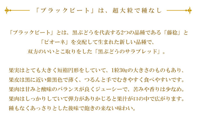 ぶどう 2026年 先行予約 ブラックビート 約500g×2房 ブドウ 葡萄  岡山県産 国産 フルーツ 果物 ギフト 岡山のぶどう 岡山の果物 デザート 食後 種無し 大粒 甘味 酸味 バランス
