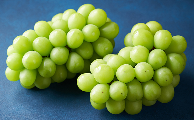 フルーツ 肉 2026年 晴れの国 おかやま シャイン マスカット 晴王 2房 と A5等級 黒毛 和牛 サーロイン ステーキ 2回 定期便 果物 岡山のブドウ お肉 牛肉