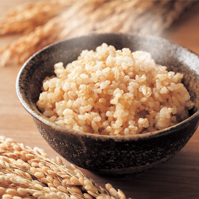 令和7年産 早炊 玄米 きぬむすめ 2kg×4袋 岡山県産　お米 国内産 ご飯 おにぎり お弁当 和食 国産 産地直送 玄米食 玄米の栄養素