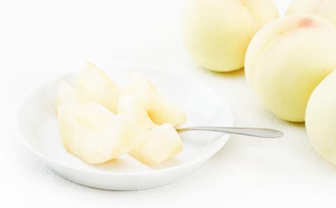 フルーツ 定期便 2026年 先行予約 フルーツ王国 岡山 ベストセレクト 3回コース 桃 もも 葡萄 ぶどう 梨 なし 岡山県産 国産 果物 セット ギフト 柔らかい マスカット 甘い 酸味 高級 香り 風味