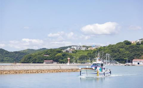 ちりめんじゃこ 牛窓 ちりめん 500g 瀬戸内海産 【ちりめん ちりめんじゃこ 上乾ちりめん しらす しらす干し 大容量 ごはん ごはんのお供 ふりかけ おにぎり ギフト 贈答 岡山県 瀬戸内市 牛窓 瀬戸内海 服部水産】【配達不可：離島】