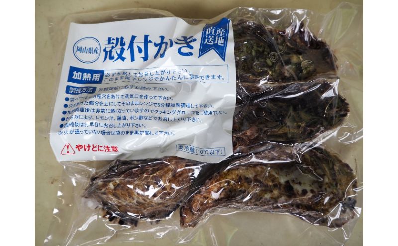 牡蠣 2026年 先行予約 殻付き牡蠣 レンジでチン セット 5個入×2袋 山銀商店 瀬戸内海虫明湾産 魚介類 カキ かき シーフード