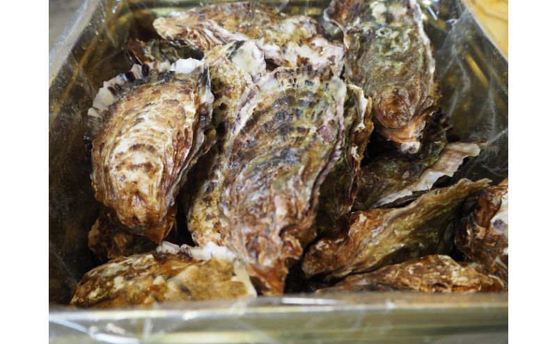 牡蠣 2026年 先行予約 殻付き 大粒牡蠣  半斗缶 (約35個)約5kg～6kg 山銀商店 瀬戸内海虫明湾産 約6kg前後 魚介類 カキ シーフード かき