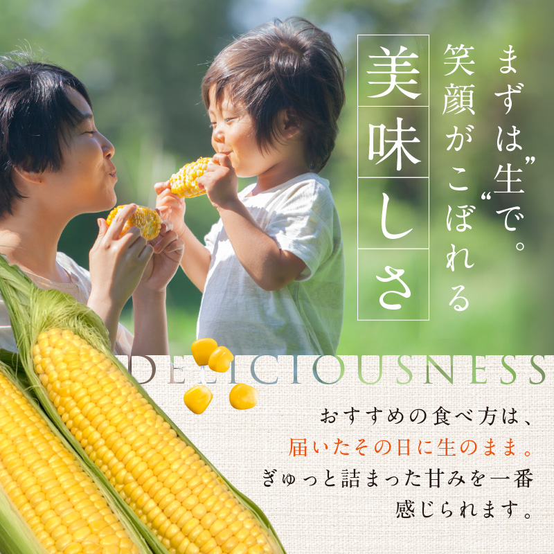 ［2026年先行予約］牛窓産とうもろこし まるでフルーツ！最高糖度25度超え 生で甘い、茹でて美味い！ 黄色 とうもろこし 「桃太郎コーン」約4kg（8～12本入り） 野菜