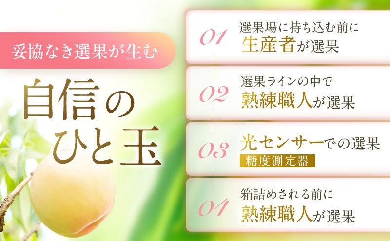 桃 2026年 先行予約 岡山 白桃 ロイヤル 4～6玉 約1kg JAおかやまのもも（早生種・中生種） もも モモ 岡山県産 国産 フルーツ 果物 ギフト
