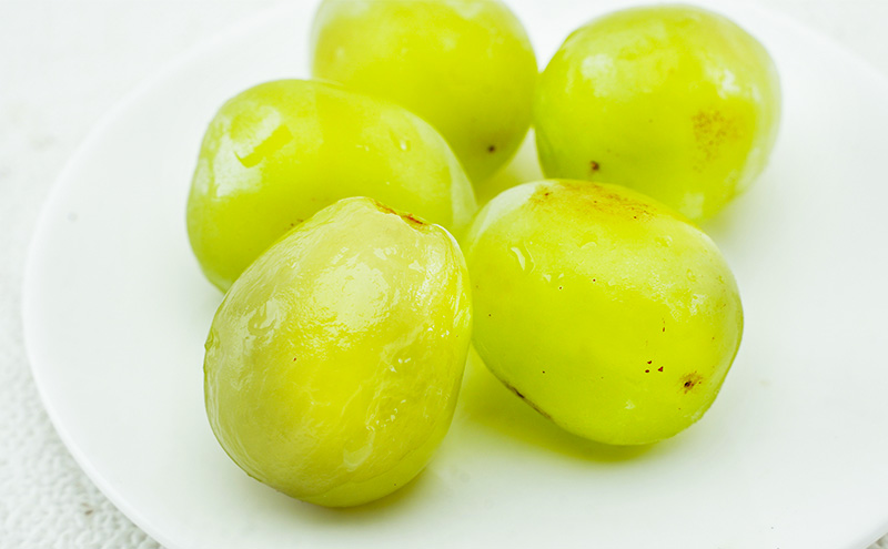 ぶどう 2026年 先行予約 マスカット・オブ・アレキサンドリア 1房 700g以上 化粧箱入り マスカット 岡山県産 国産 フルーツ 果物 ギフト 食後 デザート 上品な香り 果物の女王 さっぱり 爽やか