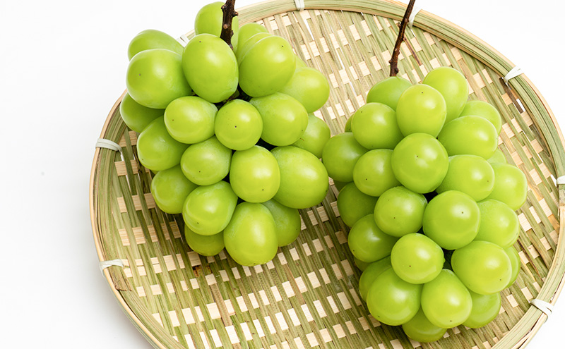 ぶどう 2026年 先行予約 シャイン マスカット 晴王 2房 （1房 600g以上） 化粧箱入り マスカット ブドウ 葡萄  岡山県産 国産 フルーツ 果物 ギフト 高級ぶどう 大粒 種なし 贈答品