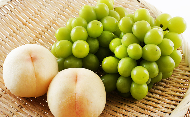 桃 ぶどう 2026年 先行予約 果物 詰合せ 白桃 2玉（1玉220g以上）シャインマスカット 晴王 2房（1房480g以上）化粧箱入り 岡山県産 国産 フルーツ ギフト フルーツ詰め合わせ 贈答品 セット