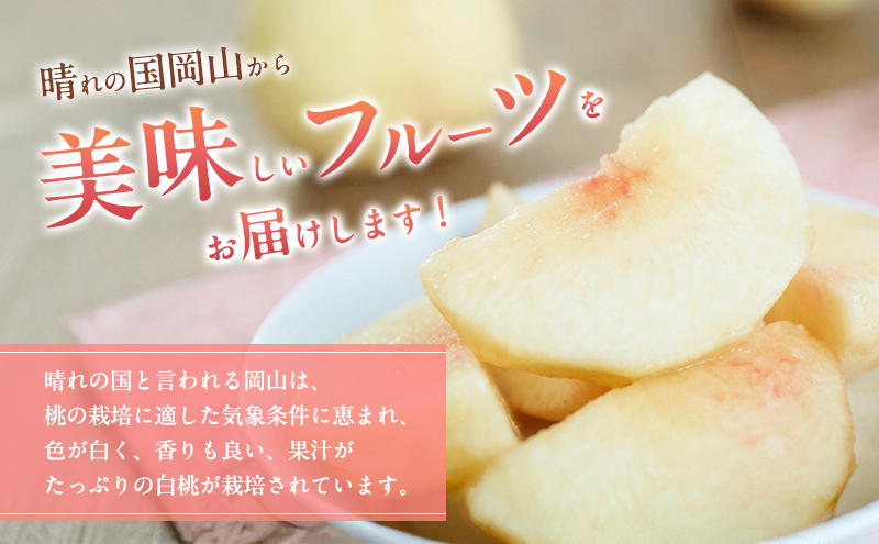 桃 2026年 先行予約 岡山 白桃（晩生種）ご家庭用 約2kg 6～9玉入り もも モモ 岡山県産 国産 フルーツ 果物 直送！せとうちバスケット