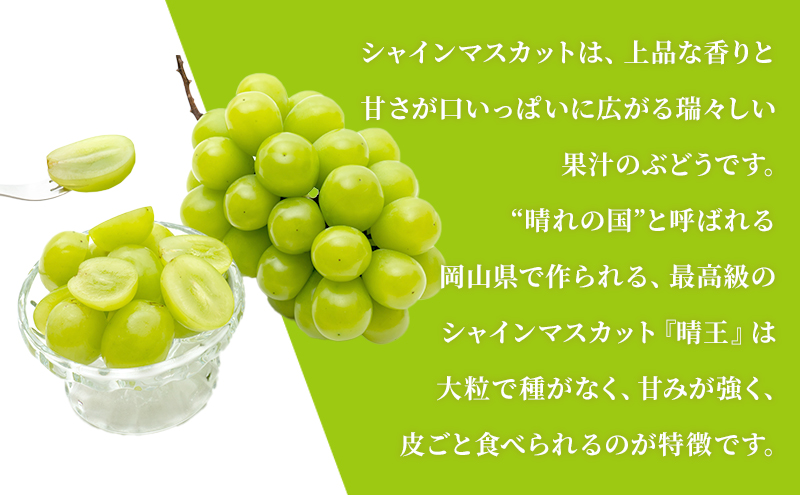 ぶどう 定期便 2026年 先行予約 シャイン マスカット 晴王 各月2房（1房600g以上） 3回コース マスカット ブドウ 葡萄  岡山県産 国産 フルーツ 果物 ギフト 大粒 高級 甘い 弾力
