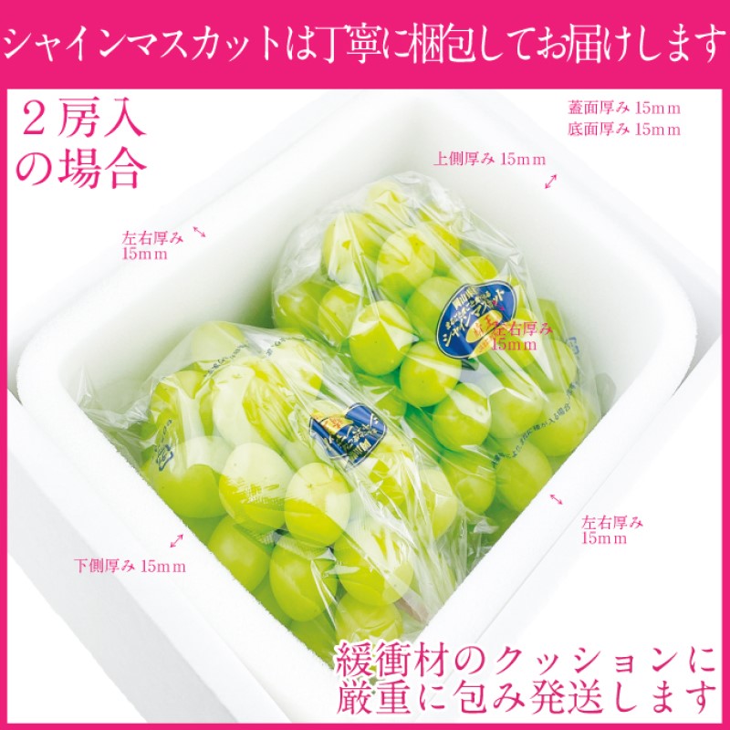 ぶどう 2024年 先行予約 【プレミアムシャインマスカット 晴王 2房 合計約1.3kg 定期便 3回】船穂産 赤秀品以上 岡山県産 葡萄 ブドウ ギフト ハレノフルーツ 皮ごと食べる みずみずしい